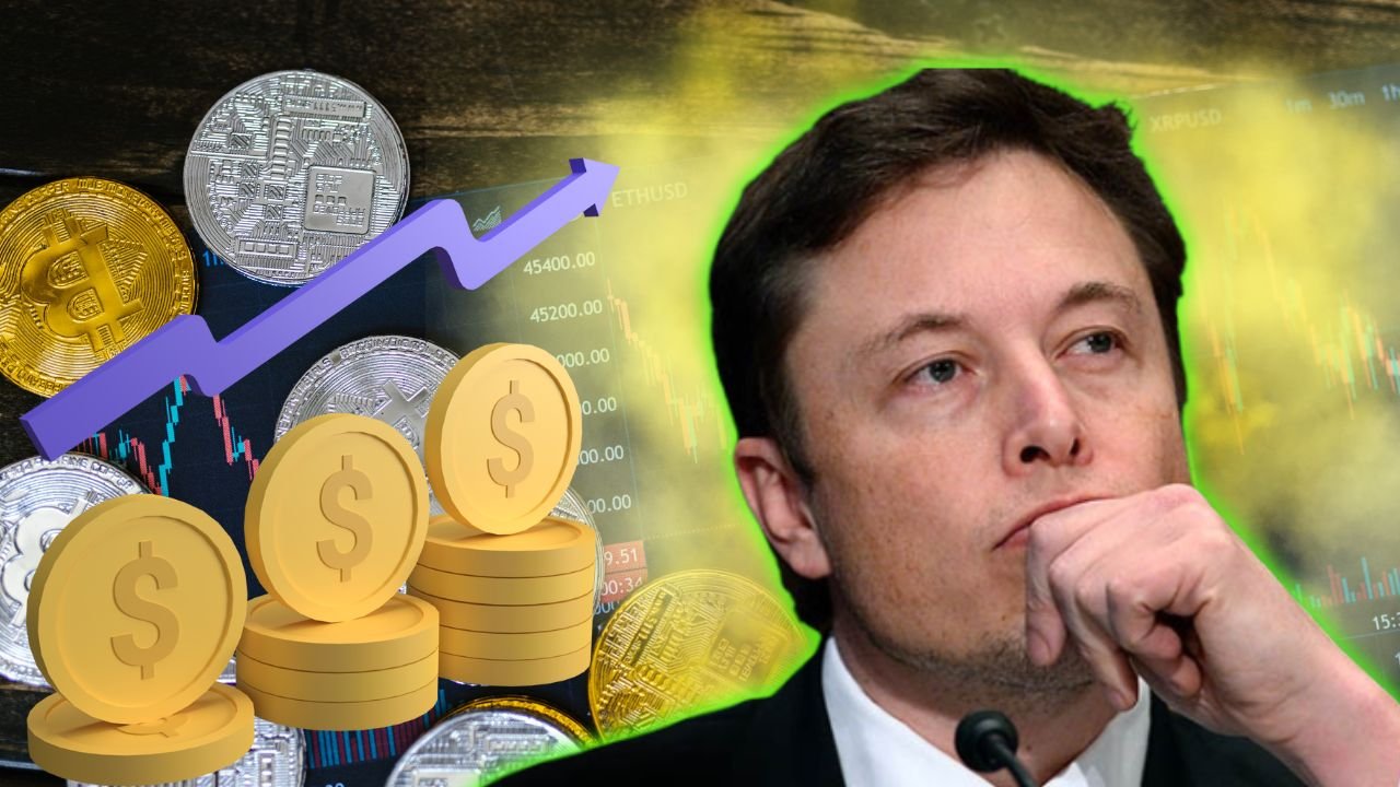 Elon Musk yine devrede! Bilinmeyen o Token'a yüzde 12 bin değer kazandırdı
