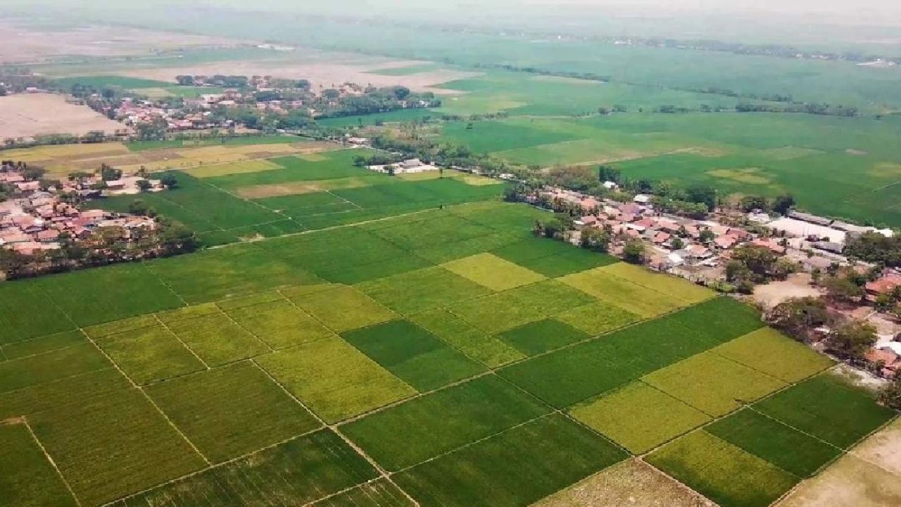 Kıyıda köşede çeyrek altını olan arsa sahibi olacak! Bedava fiyatına arsa satışı başladı!