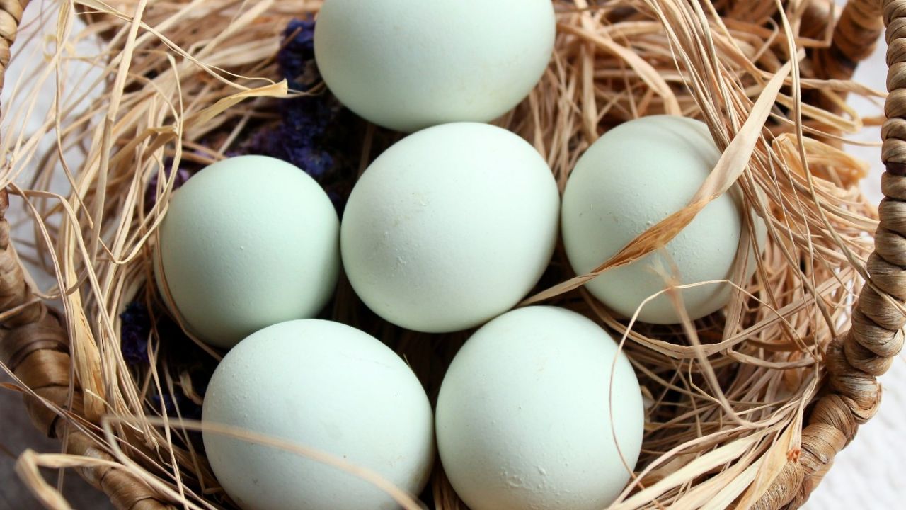 Yumurtayı böyle yiyenlere kötü haberimiz var! 10 dakika kuralına uymayanın sağlığı tehlikede