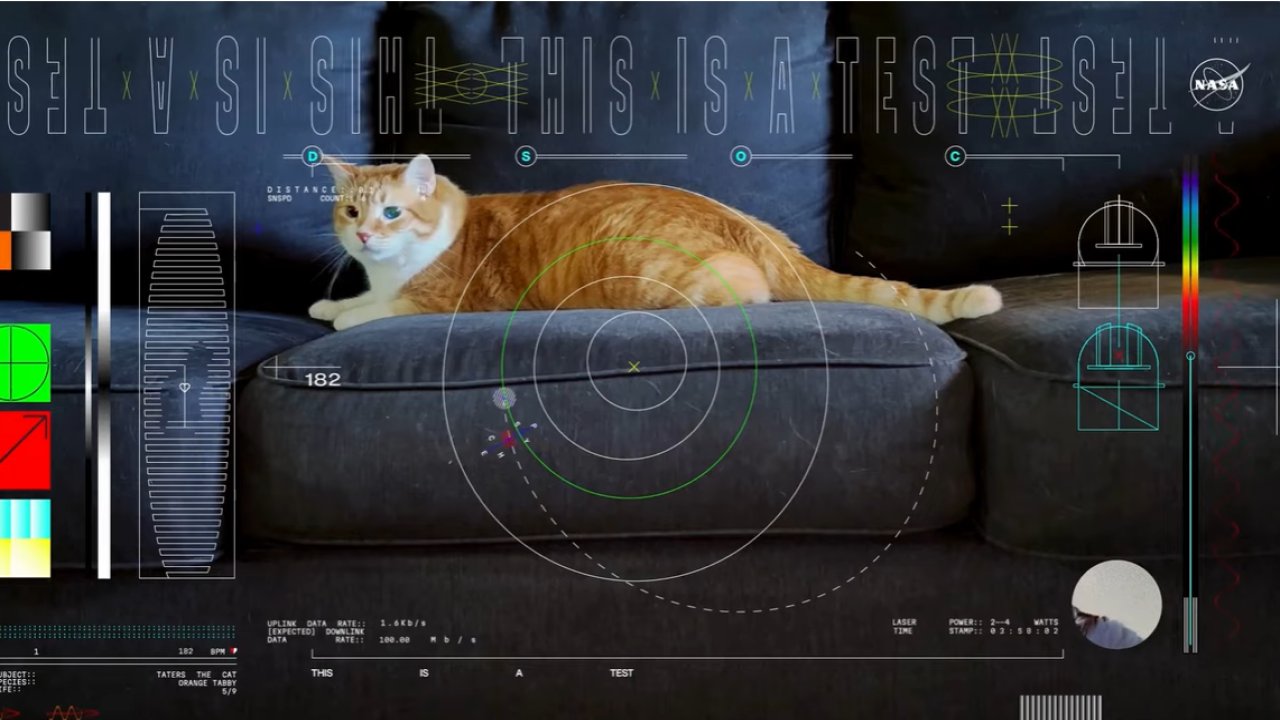 NASA, 31 milyon kilometre uzaktan kedi videosu yolladı